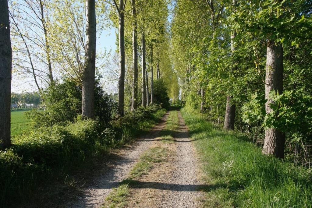 Vakantiewoning Het Olietunnetje Ovezande Buitenkant foto